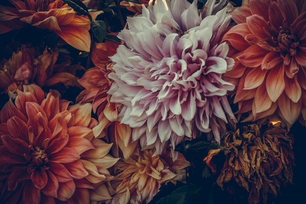 Welche umweltfreundlichen Isolationsmaterialien gibt es für Häuser?